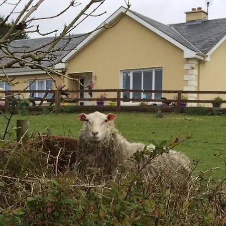 Hillview Bed and breakfast Tulla