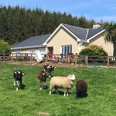 Hillview Bed and breakfast